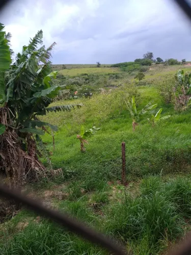 Ajudante geral 