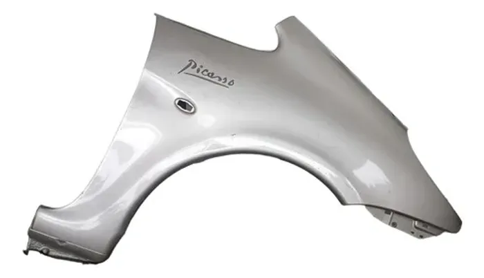 Paralama Citroen Picasso 2000 2001 2002 2003 2004  L/direito