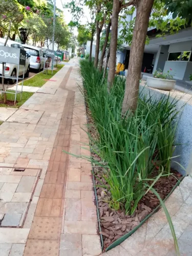 ESTAMOS CONTRATANDO JARDINEIRO / AUXILIAR DE JARDINAGEM 