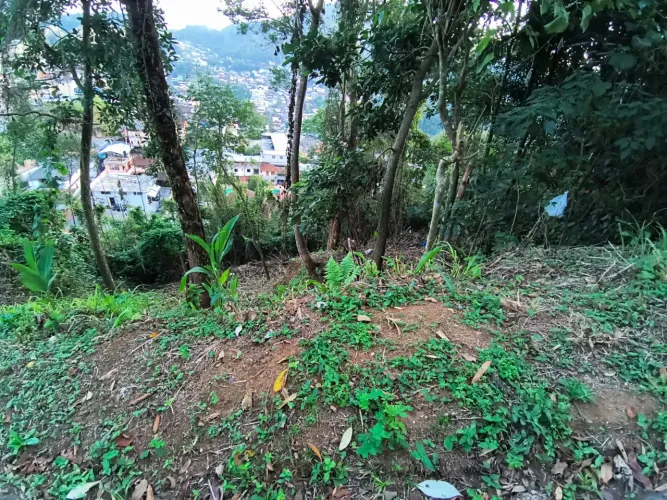 Vendo terreno 
