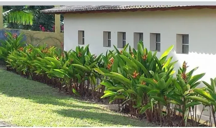 ÁREA RURAL À VENDA - 133 HECTARES - UNA BAHIA 