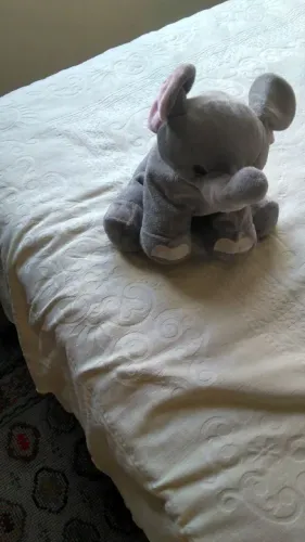 Elefante