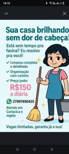Faxina detalhada completa !