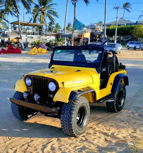 JEEP WILLYS 1975
