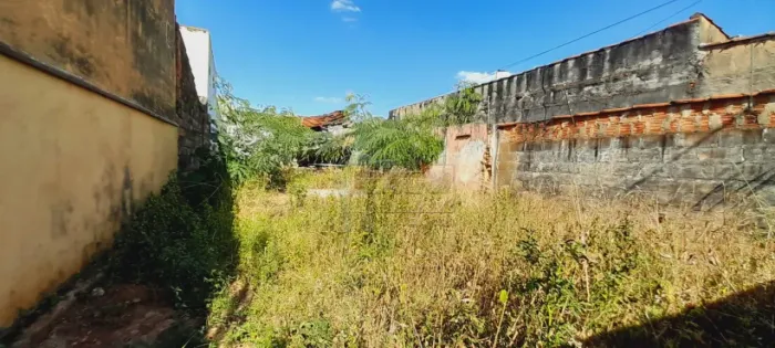 Terreno de 216m² à venda - Vila Brasil