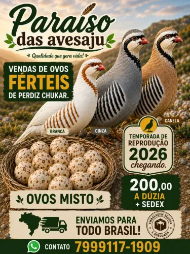 Vendo Perdiz Chukar 