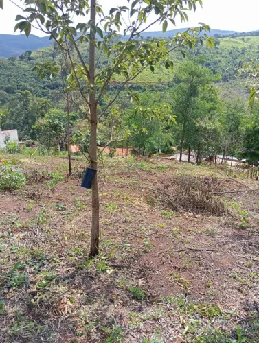 Lote na cidade de moeda.