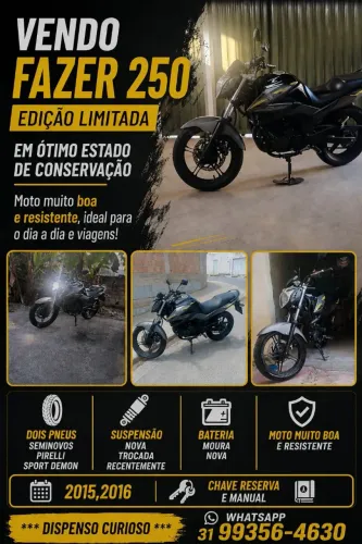 Fazer 250 flex com manual e chave reserva 