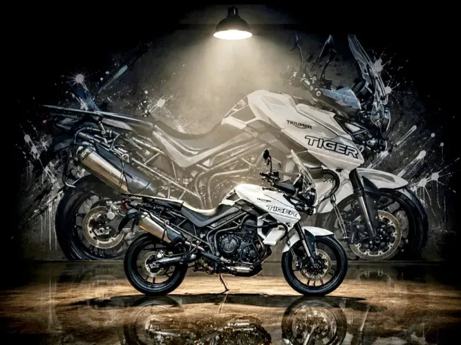 Triumph Tiger 800 XRX 2019 + acessórios