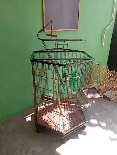 Viveiro sextavado para calopsita com rodinhas e play ground
