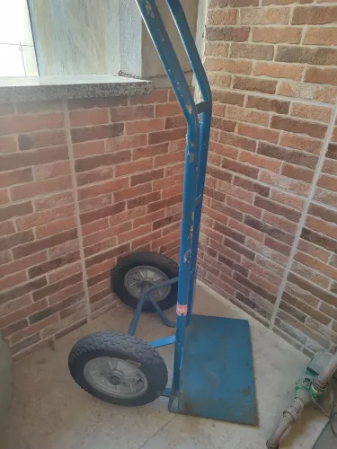 Carrinho de carga 300kg