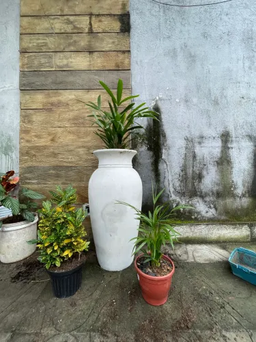 Vaso de Cimento Alto Padrão 