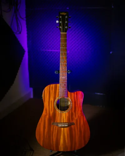 Violão Vintage SO VEC 501 NKS