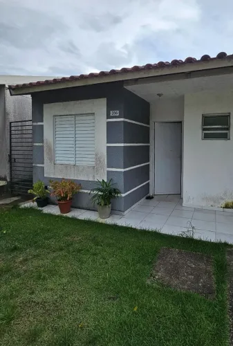 Pintura em geral 