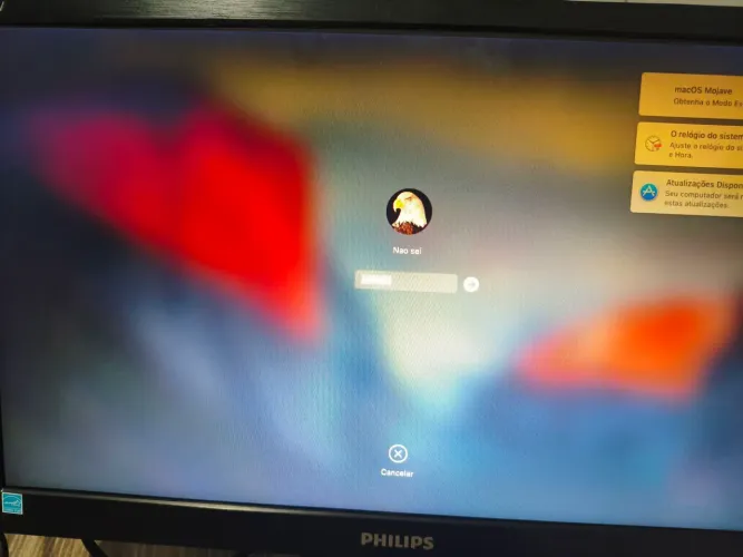 Imac 24 A1225 2009 com defeito na tela com acessórios