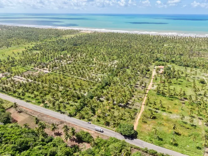 ÁREA À BEIRA MAR NO LITORAL SUL DE ALAGOAS