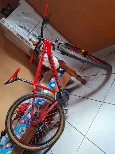 Bicicleta