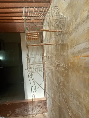 VIVEIRO PARA AVES - GRANDE E ESPAÇOSO! ?