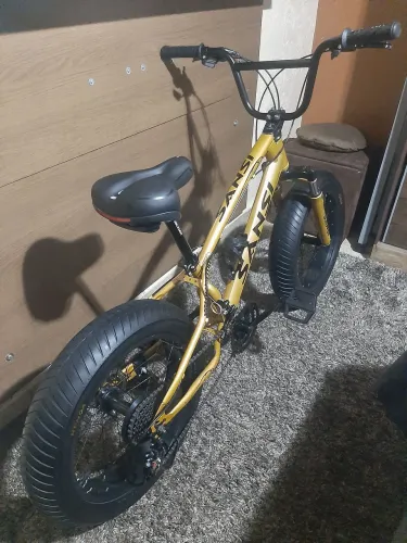 Fat bike