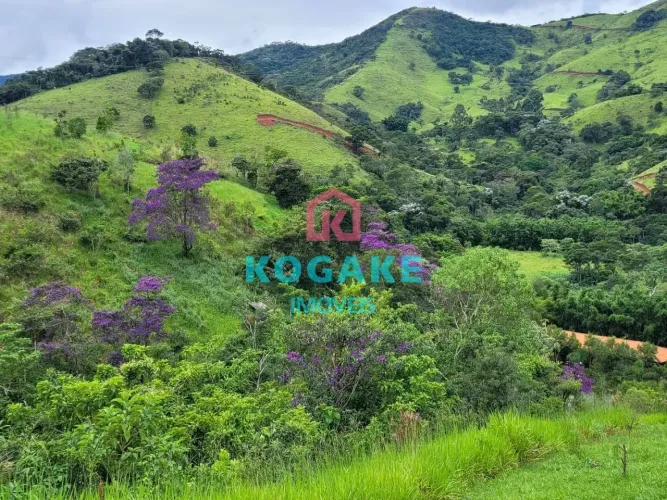 Sítio à venda, 130000 m² por R$ 1.000.000,00 - Zona Rural - Monteiro Lobato/SP