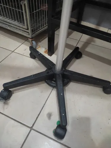 Secador Profissional Banho e Tosa 