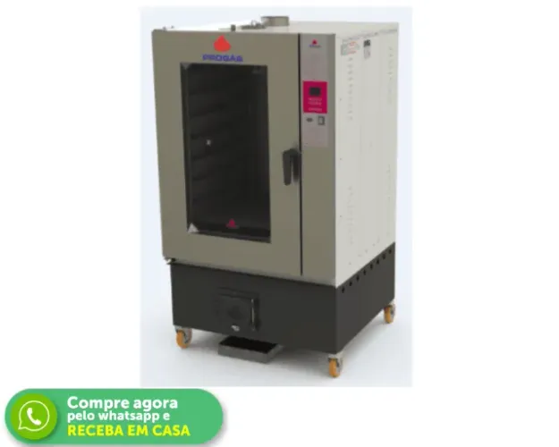 Forno Turbo 10 Esteiras a Lenha Novo