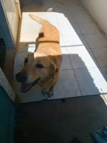 Doação