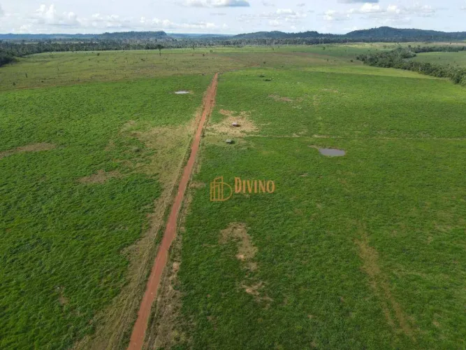 FAZENDA SANTA MARTA SÃO FÉLIX DO XINGU/PA