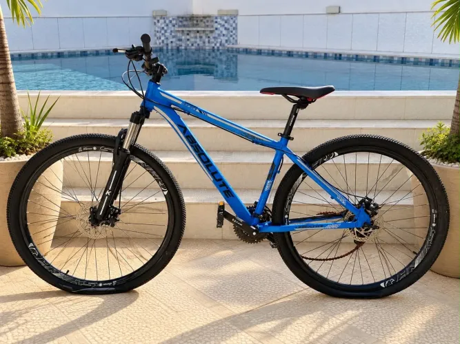 Bicicleta