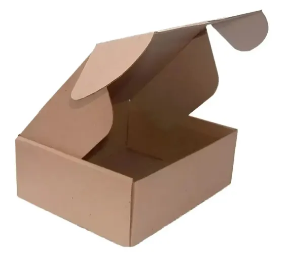 Caixa Papelão Correio Sedex Pac 20x16x7 Montável - 40 Cxs