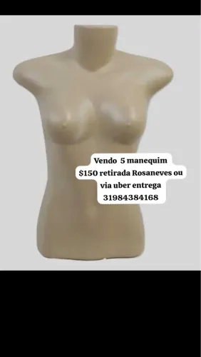 Manequim busto feminino 