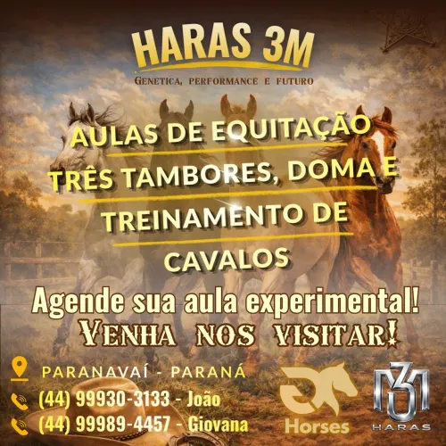 Aulas de Equitação e Três Tambores, treinamento para cavalos e doma