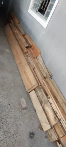 Tábuas de pinus