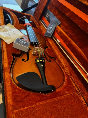 Violino Eagle Ve144 4/4 semi-novo + estante
