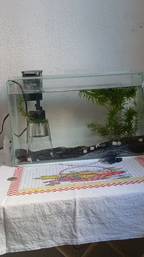 Aquario de 20litros, 40×20×25