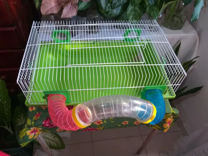 Gaiola de hamster verde