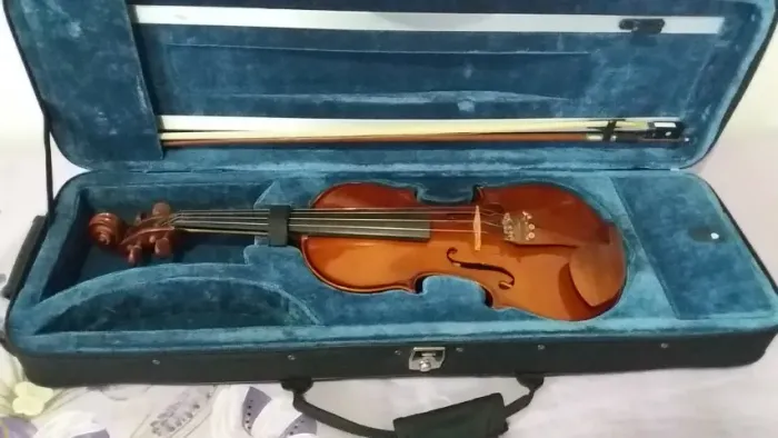 Vendo Violino Eagle VE 441 usado