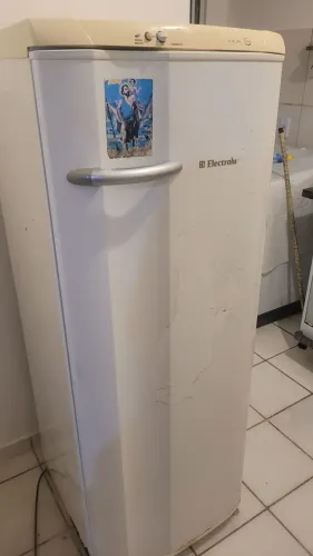 Geladeira Electrolux Defrost