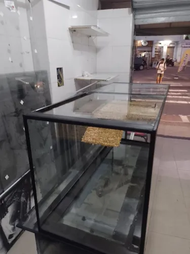 Aquários sob medidas