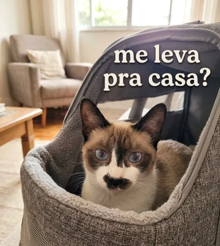 Adoção responsável  - Mila