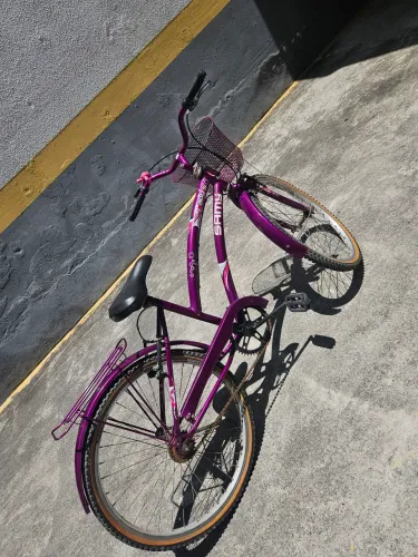 Bicicleta Dalannio Bike susi 