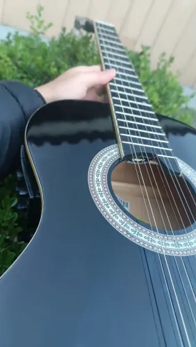 Viola Gianinni Start VS-14