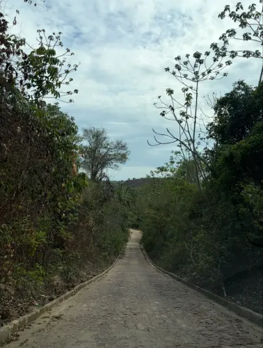 Lote serra dourada