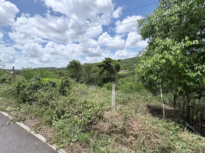 Vendo terreno em catu-BA