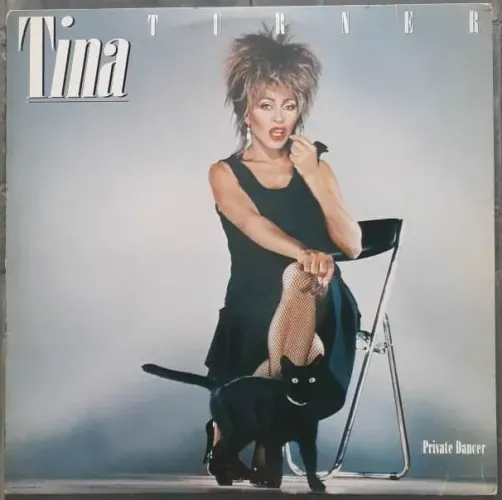 Disco Vinil Tina Turner e/ou Jean Luc Ponty 33 Rpm