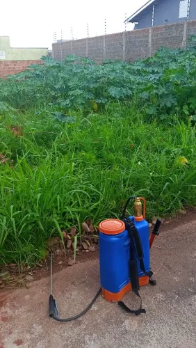 Roçamos e limpamos seu quintal e passa veneno 