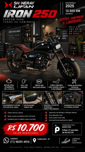 Iron 250 Shineray