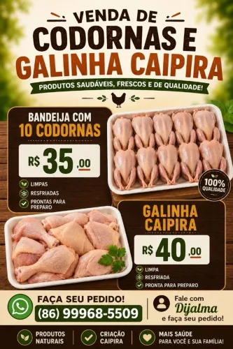 Venda de codorna e galinha