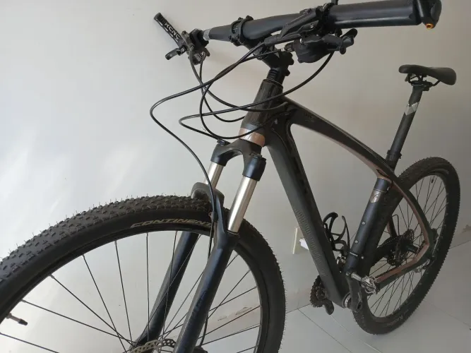Caloi Carbon Ibex