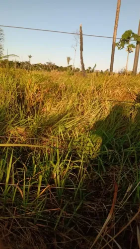 Vende-se chácara no km 27, 25.000 mil